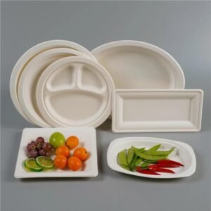Sugarcane Bagasse Plates / Containers