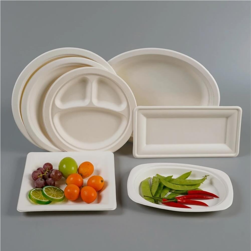 Sugarcane Bagasse Plates / Containers